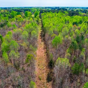Photo #7 of SOLD property in Off Julie McKnight Road, Kittrell, NC 12.2 acres