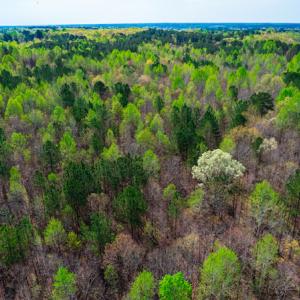 Photo #8 of SOLD property in Off Julie McKnight Road, Kittrell, NC 12.2 acres