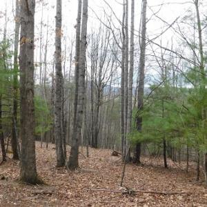 Photo #12 of Off Riverside Drive, Independence, VA 16.6 acres