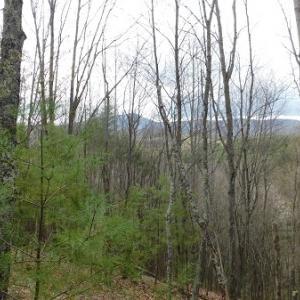 Photo #13 of Off Riverside Drive, Independence, VA 16.6 acres