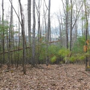 Photo #15 of Off Riverside Drive, Independence, VA 16.6 acres