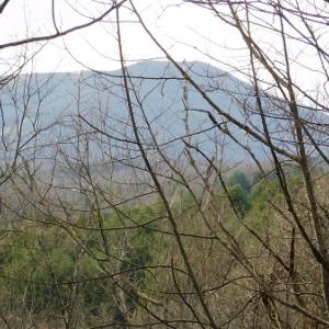 Photo #17 of Off Riverside Drive, Independence, VA 16.6 acres
