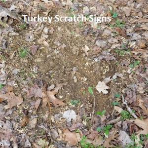 Photo #18 of Off Riverside Drive, Independence, VA 16.6 acres