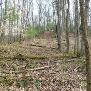 Photo #19 of Off Riverside Drive, Independence, VA 16.6 acres