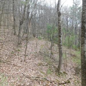 Photo #20 of Off Riverside Drive, Independence, VA 16.6 acres