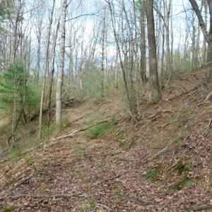 Photo #21 of Off Riverside Drive, Independence, VA 16.6 acres