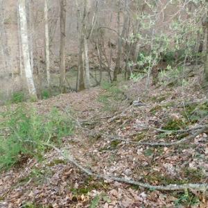 Photo #22 of Off Riverside Drive, Independence, VA 16.6 acres