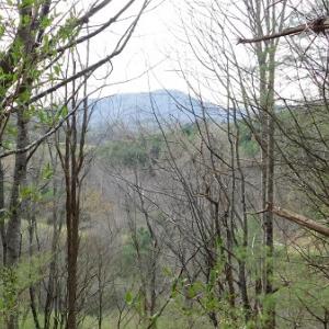 Photo #23 of Off Riverside Drive, Independence, VA 16.6 acres