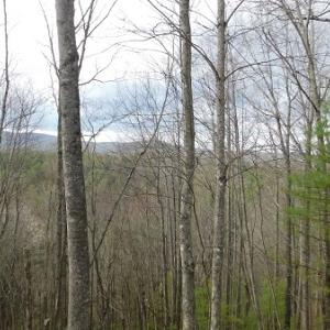 Photo #24 of Off Riverside Drive, Independence, VA 16.6 acres