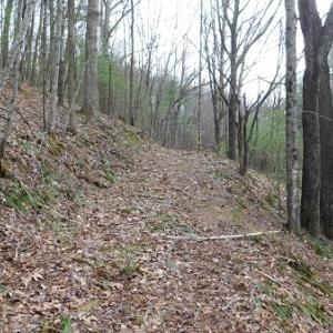Photo #28 of Off Riverside Drive, Independence, VA 16.6 acres