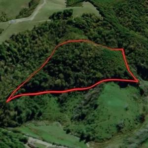 Photo #3 of Off Riverside Drive, Independence, VA 16.6 acres