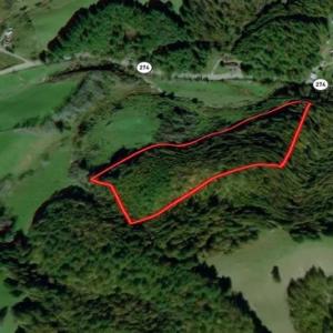 Photo #4 of Off Riverside Drive, Independence, VA 16.6 acres