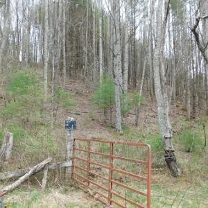 Photo #6 of Off Riverside Drive, Independence, VA 16.6 acres