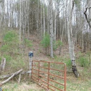 Photo #6 of Off Riverside Drive, Independence, VA 16.6 acres