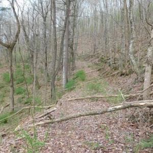 Photo #7 of Off Riverside Drive, Independence, VA 16.6 acres