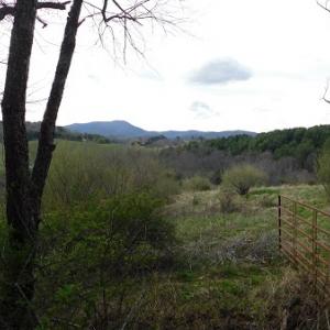 Photo #8 of Off Riverside Drive, Independence, VA 16.6 acres
