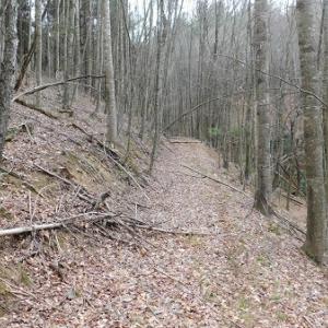 Photo #10 of Off Riverside Drive, Independence, VA 16.6 acres