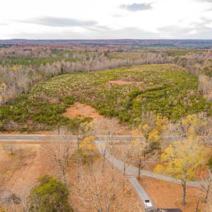 Photo #8 of SOLD property in Off Burtons Chapel Road, Mebane, NC 58.8 acres