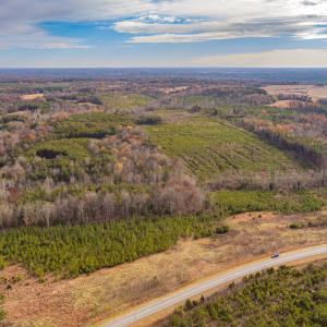 Photo #10 of SOLD property in Off Burtons Chapel Road, Mebane, NC 58.8 acres