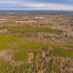 Photo #12 of SOLD property in Off Burtons Chapel Road, Mebane, NC 58.8 acres
