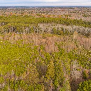 Photo #13 of SOLD property in Off Burtons Chapel Road, Mebane, NC 58.8 acres