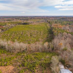 Photo #15 of SOLD property in Off Burtons Chapel Road, Mebane, NC 58.8 acres