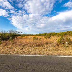 Photo #19 of SOLD property in Off Burtons Chapel Road, Mebane, NC 58.8 acres