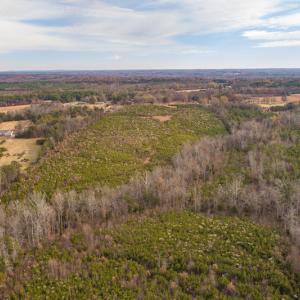 Photo #6 of SOLD property in Off Burtons Chapel Road, Mebane, NC 58.8 acres