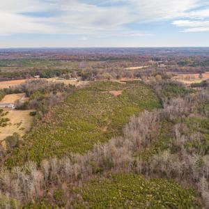 Photo #7 of SOLD property in Off Burtons Chapel Road, Mebane, NC 58.8 acres