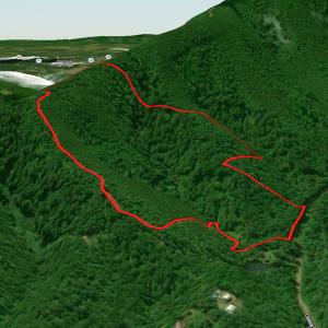 Photo #49 of SOLD property in Off Chase Log Road, Stuart, VA 46.4 acres