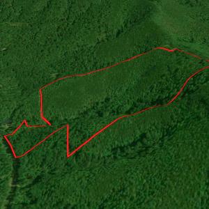 Photo #48 of SOLD property in Off Chase Log Road, Stuart, VA 46.4 acres