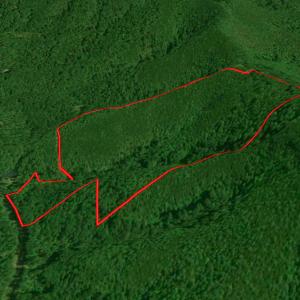 Photo #48 of SOLD property in Off Chase Log Road, Stuart, VA 46.4 acres
