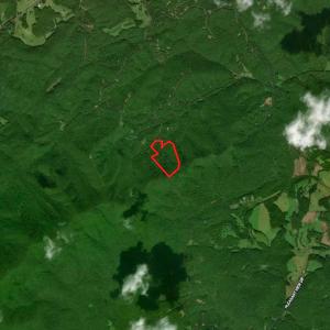 Photo #50 of SOLD property in Off Chase Log Road, Stuart, VA 46.4 acres