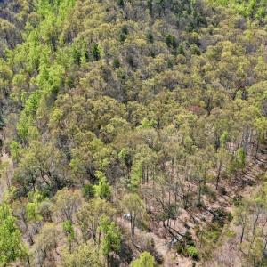 Photo #2 of SOLD property in Off Chase Log Road, Stuart, VA 46.4 acres