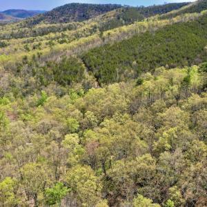 Photo #4 of SOLD property in Off Chase Log Road, Stuart, VA 46.4 acres