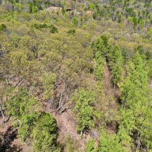 Photo #6 of SOLD property in Off Chase Log Road, Stuart, VA 46.4 acres