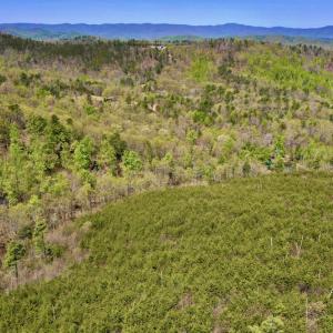 Photo #8 of SOLD property in Off Chase Log Road, Stuart, VA 46.4 acres