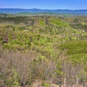 Photo #9 of SOLD property in Off Chase Log Road, Stuart, VA 46.4 acres