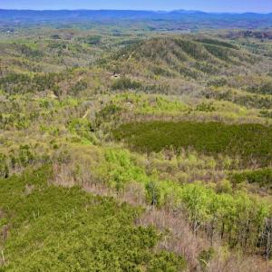 Photo #11 of SOLD property in Off Chase Log Road, Stuart, VA 46.4 acres