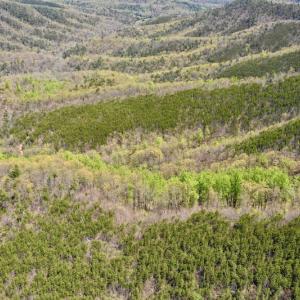 Photo #12 of SOLD property in Off Chase Log Road, Stuart, VA 46.4 acres