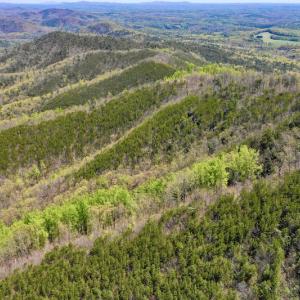 Photo #13 of SOLD property in Off Chase Log Road, Stuart, VA 46.4 acres