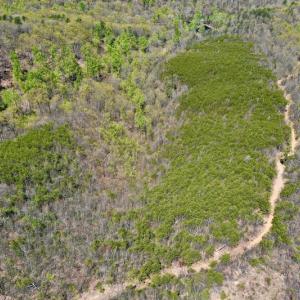Photo #14 of SOLD property in Off Chase Log Road, Stuart, VA 46.4 acres
