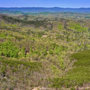Photo #15 of SOLD property in Off Chase Log Road, Stuart, VA 46.4 acres