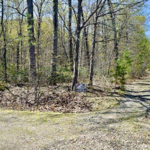 Photo #16 of SOLD property in Off Chase Log Road, Stuart, VA 46.4 acres