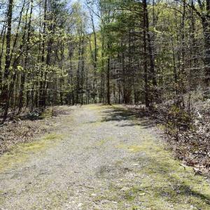 Photo #17 of SOLD property in Off Chase Log Road, Stuart, VA 46.4 acres