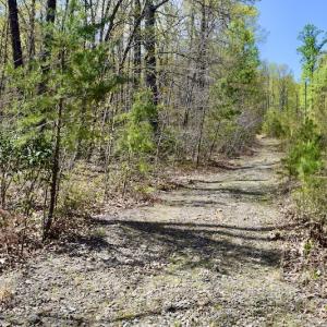 Photo #19 of SOLD property in Off Chase Log Road, Stuart, VA 46.4 acres