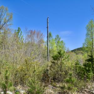 Photo #22 of SOLD property in Off Chase Log Road, Stuart, VA 46.4 acres