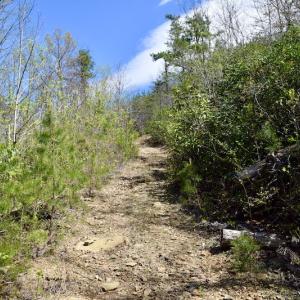 Photo #24 of SOLD property in Off Chase Log Road, Stuart, VA 46.4 acres