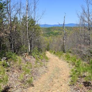 Photo #28 of SOLD property in Off Chase Log Road, Stuart, VA 46.4 acres