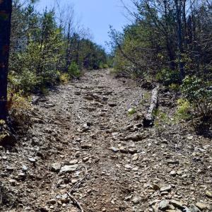 Photo #29 of SOLD property in Off Chase Log Road, Stuart, VA 46.4 acres